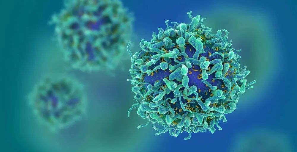 FDA要求所有已上市CAR-T療法標註最高級別的黑框警告：可能誘發T細胞惡性腫瘤